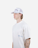 Swan Tears Hat